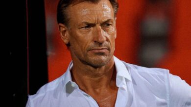 Photo of مدرب المغرب السابق”هيرفي رينارد”مرشح للعودة لافريقيا مجددًا 
