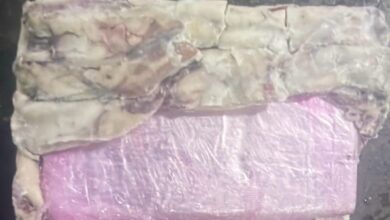 Photo of جمارك ميناء طنجة المتوسط يحبطون تهريب كميات كبيرة من المخدرات