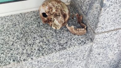 Photo of استنفار أمني بعد العثور على جمجمة بشرية بمنطقة النجمة وسط مدينة طنجة