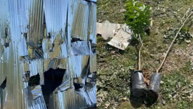 Photo of عصابة تخرب أرضا فلاحية وترهب أصحابها في العرائش -فيديو-