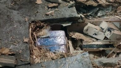 Photo of الجمارك تضبط كمية مهمة من المخدرات في شاحنة للسمك بمعبر الكركرات