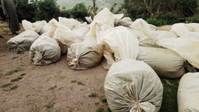 Photo of درك العرائش يحجز كمية كبيرة من القنب الهندي “بسبت بني جرفط”