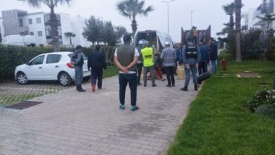 Photo of حجز 15 طن من المخدرات كانت معدة للتهريب الدولي بسطات
