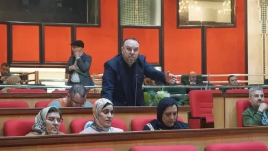 Photo of بلخيضر يطالب بفتح تحقيق في مشاريع إنجاز مناطق خضراء تشوبها خروقات بطنجة
