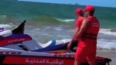 Photo of الوقاية المدنية تنجح في إنقاذ فتاة من الغرق بالشاطئ البلدي بطنجة