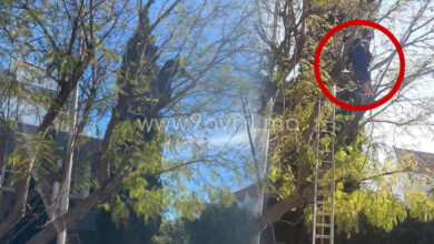 Photo of طنجة.. شخص يهدد بالإ نتحا ر أمام ولاية الأمن