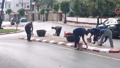 Photo of شوارع مقاطعة طنجة المدينة تتزين استعدادا لزيارة ملكية مرتقبة -صور-