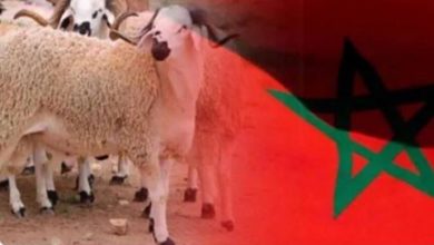 Photo of هذه أيام عطلة عيد الأضحى بالنسبة للموظفين والتلاميذ