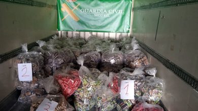 Photo of تفاصيل مهمة حول مخدرات “موتريل”.. من يوفر الحماية لهؤلاء المهربين بطنجة؟