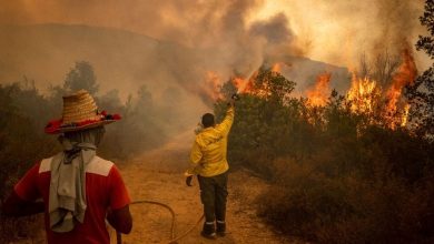 Photo of النيران تلتهم أكثر من 4 هكتارات بضواحي طنجة