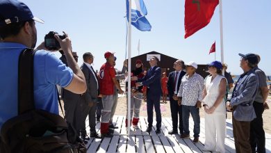 Photo of أمانديس طنجة تحصل على علامة ” اللواء الأزرق ” للسنة الثانية عشرة توالياً بالنسبة لشاطئ “با قاسم”