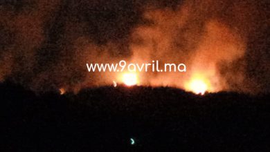 Photo of حريق مهول يأتي على هكتارات غابوية بجماعة بغاغزة “قرية اشقاريش” والسلطات تسارع الزمن لإخماده