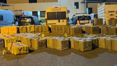 Photo of إجهاض عملية للتهريب الدولي لازيد من 8 اطنان من المخدرات بميناء اسفي