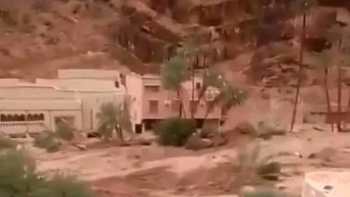 Photo of السيول تخلف خسائر مادية كبيرة بطاطا -فيديو-