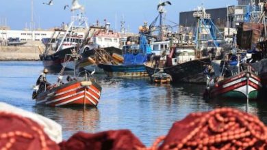 Photo of اتفاقية صيد جديدة بين المغرب وروسيا تثير استياء الجارة الاسبانية