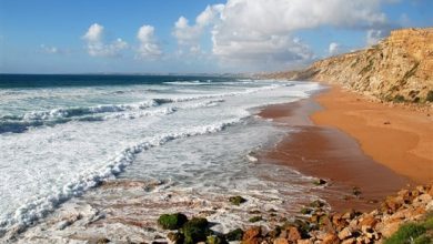 Photo of إليكم توقعات مديرية الأرصاد الجوية لنهار اليوم بالمملكة