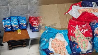 Photo of حيلة جديدة للمهربين: طعام القطط بنكهة الإكستازي في ميناء طنجة!