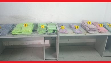 Photo of إحباط محاولة تهريب 155 ألف قرص مهلوس بميناء طنجة المتوسط وتوقيف متورطين