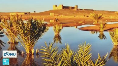 Photo of فيديو.. فرانس 24 تعتمد مصطلح ‘الصحراء المغربية’ بعد الموقف الفرنسي الواضح