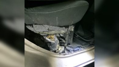 Photo of إحباط محاولة تهريب 42 كلغ من مخدر الشيرا بميناء طنجة المدينة