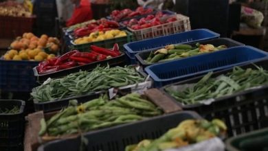 Photo of الداخلية تطلق رقما أخضر للإبلاغ.. إجراءات مشددة لضبط الأسواق في رمضان وحماية المستهلك