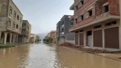 Photo of بعد 16 عاما من الجفاف.. واد كارت ينتفض بأمطار غزيرة تكشف هشاشة البنية التحتية بالدريوش