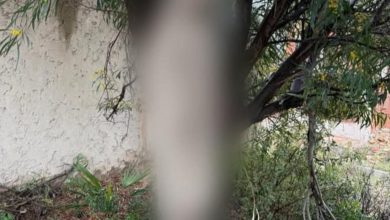 Photo of صدمة في طنجة.. العثور على “رب أسرة” مشنوقا في منطقة خلاء بكزناية