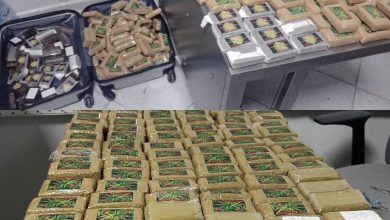 Photo of إحباط محاولة تهريب 46 كلغ من المخدرات بمطار طنجة وتوقيف مواطنين إفريقيين
