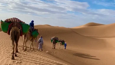 Photo of مأساة سياحية في زاكورة.. اختفاء وموت سياح أجانب تحت لهيب الرمال