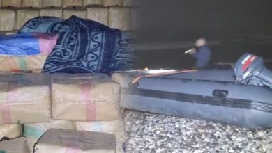 Photo of في كمين محكم.. إحباط محاولة تهريب شحنة مخدرات تقارب 18 طنا