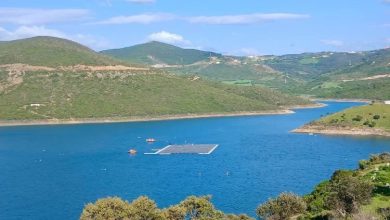 Photo of لتزويد ميناء طنجة المتوسط بالكهرباء الخضراء.. إطلاق أول محطة شمسية عائمة فوق سد واد الرمل