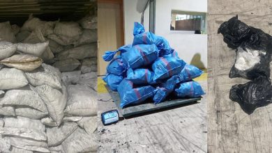 Photo of ضربة أمنية قوية بميناء طنجة المتوسط.. حجز 514 كلغ من الكوكايين داخل شحنة فحم