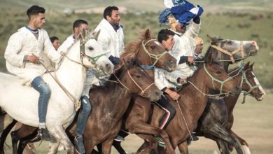 Photo of تحت الرعاية الملكية.. المهرجان الدولي للفروسية “ماطا” يعود في دورته الـ13 ليحتفي بربع قرن من التنمية