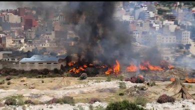 Photo of بعد اندلاع حريق مهول.. تنسيق محكم بين السلطات يحول دون كارثة في “حومة الواد” بمقاطعة مغوغة