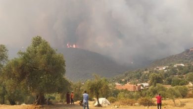 Photo of بعد هوارة .. حريق مهول يلتهم أراضي فلاحية قرب العرائش واستنفار واسع للسلطات