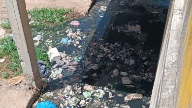 Photo of روائح كريهة وحشرات سامة تخنق سكان حومة الوردة.. فأين “الجهات المعنية”؟