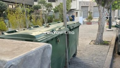 Photo of أقفال على حاويات القمامة… سلوك فردي يعكس فوضى ويشوه صورة المدينة