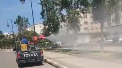 Photo of بتعليمات من والي الجهة.. مقاطعة بني مكادة تطلق حملة استباقية لمكافحة الحشرات الناقلة للأمراض