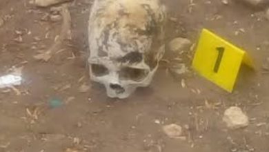 Photo of جمجمة وعظام بشرية توقف الأشغال بشارع معروف في الجديدة