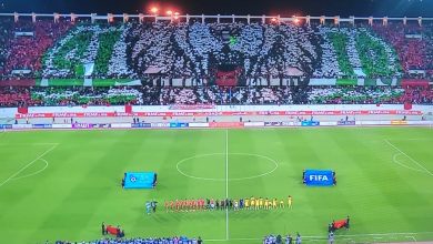 Photo of تيفو منتظر لنجم الأسود أمام نسور قرطاج