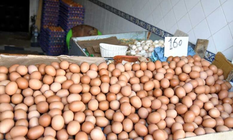 Photo of البيض يلهب الجيوب.. موجة حر وغلاء ترفع الأسعار بالمغرب