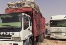 Photo of بعد أشهر من الأسر.. الاستخبارات المغربية تُنقذ سائقين اختطفهم إرهابيو “داعش” في قلب الساحل الإفريقي