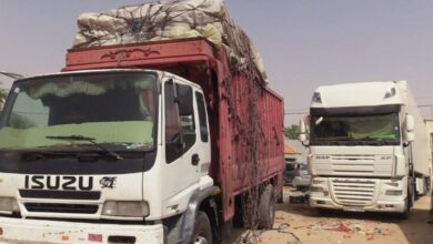 Photo of بعد أشهر من الأسر.. الاستخبارات المغربية تُنقذ سائقين اختطفهم إرهابيو “داعش” في قلب الساحل الإفريقي