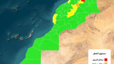 Photo of المياه والغابات تحذر: إنذار “حرج” بحرائق في شمال المملكة