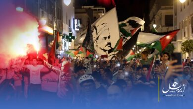 Photo of مسيرة واعتصام بطنجة نصرة لفلسطين واحتجاجا على التجويع والإبادة
