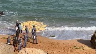 Photo of إحباط تهريب طن و300 كلغ من الشيرا نحو جزر الكناري