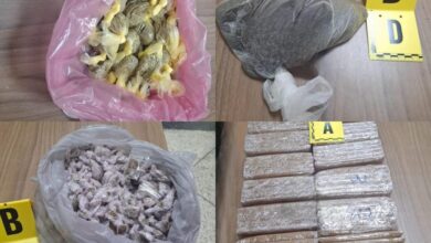 Photo of عملية نوعية.. أمن طنجة يطيح بمروجي مخدرات بحي بن كيران ويحجز كميات مهمة 