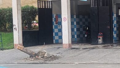 Photo of كارثة.. اقتلاع أشجار في قلب البرانص بطنجة يضع صاحب محل لغسل السيارات تحت طائلة القانون