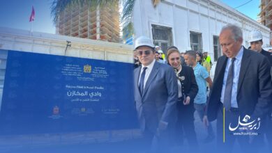 Photo of وزير التربية الوطنية يحل بطنجة لمتابعة أشغال ترميم مدرسة “واد المخازن” بطنجة وتحويلها إلى مركز للتفتح الفني والأدبي