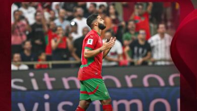 Photo of الأسود تسحق النيجر وتتأهل للمونديال للمرة السابعة في التاريخ
